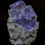 Fluorite, Galena
6.3 x 4.4 cm
(Autor: am mizunaka)