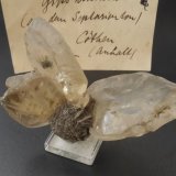 Gypsum
6,5 x 4,5 cm
(Autor: Andreas Gerstenberg)