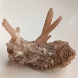 Gypsum
6x4.5x4 cm (xx 0.3/0.5x4 cm max)
(Autor: mineralenzo)