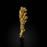 Gold
3.5 cm
(Autor: dontgogreen)