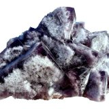 Fluorite
Specimen size 18 cm, largest crystal 8 cm
(Autor: Tobi)