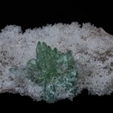 Fluorapophyllite, Quartz (variety chalcedony)
7.4 x 5.2 cm
(Autor: am mizunaka)