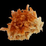 Gypsum (variety selenite)
100x60x50 mm
(Autor: Dany Mabillard)