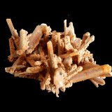 Gypsum (variety selenite)
130x80x40 mm
(Autor: Dany Mabillard)