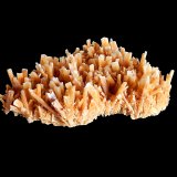 Gypsum
130 mm x 120 mm x 20 mm
(Autor: Dany Mabillard)