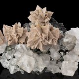 Helvine with Fluorite
15 x 10 x 9 cm / main crystal: 2.5 cm.
(Autor: MIM Museum)