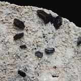 Hematite
10 mm x 5 mm x 2 mm
(Autor: Dany Mabillard)