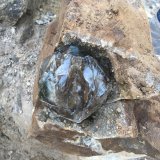 Quartz
10 cm.
(Autor: vic rzonca)