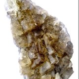 Specimen height 11,5 cm
(Autor: Tobi)