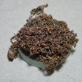 Copper
25x25mm
(Autor: Heimo Hellwig)