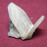 Cerussite
40x35mm
(Autor: Heimo Hellwig)