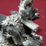 Cerussite
60x60mm
(Autor: Heimo Hellwig)