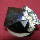 Azurite
30x26mm
(Autor: Heimo Hellwig)