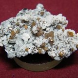 Wulfenite
45x35mm
(Autor: Heimo Hellwig)