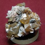 Wulfenite
30x30mm
(Autor: Heimo Hellwig)