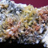 Mimetite
75x35mm
(Autor: Heimo Hellwig)