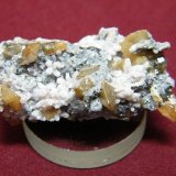Wulfenite
40x20mm
(Autor: Heimo Hellwig)