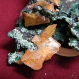 Wulfenite
60x40mm
(Autor: Heimo Hellwig)