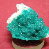 Dioptase
40x30mm
(Autor: Heimo Hellwig)