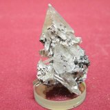 Cerussite
30x45mm
(Autor: Heimo Hellwig)