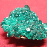 Dioptase
50x40mm
(Autor: Heimo Hellwig)