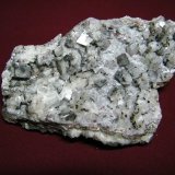 Calcite
190x120mm
(Autor: Heimo Hellwig)