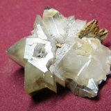 Cerussite
40x30mm
(Autor: Heimo Hellwig)