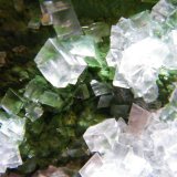 Calcite
120x80mm
(Autor: Heimo Hellwig)