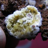 Mimetite
40x30mm
(Autor: Heimo Hellwig)