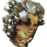 Quartz (var. smoky quartz)
Specimen size 11 cm, largest crystal 3,5 cm
(Autor: Tobi)
