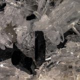 Hubnerite and Quartz
FOV 20 mm
(Autor: Adrian Pripoae)
