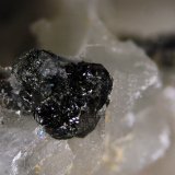 Hulsite
FOV 2.5 mm
(Autor: Cesar M. Salvan)