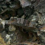Hulsite with Epidote
10 x 10 x 11.5 cm / main crystal: 2.0 cm.
(Autor: MIM Museum)