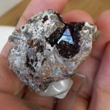 Cuprite
4,5 x 3,5 cm
(Autor: Andreas Gerstenberg)