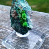 Cuprosklodowskite
6 cm
(Autor: JC)