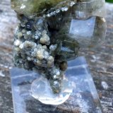 Fluorapatite with Muscovite
5 cm
(Autor: JC)
