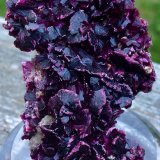 Erythrite
5.7 x 3.8 cm
(Autor: JC)
