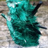 Brochantite
5.5 cm
(Autor: JC)