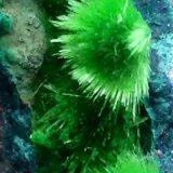 Cuprosklodowskite
6 cm
(Autor: JC)