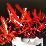Crocoite
3.5 cm
(Autor: JC)