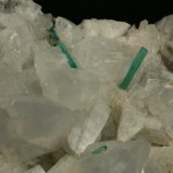 Beryl (variety emerald), Calcite, Pyrite
Detail - Rightmost emerald is 10mm long
(Autor: Fiebre Verde)