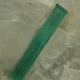 Beryl (variety emerald), Calcite, Pyrite
xl=10mm
(Autor: Fiebre Verde)