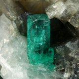 Beryl (variety emerald), Calcite, Pyrite
27x37x35mm, main xl=7mm
(Autor: Fiebre Verde)