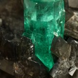 Beryl (variety emerald), Calcite, Pyrite
50x50x45mm, xl=11x7mm
(Autor: Fiebre Verde)