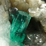 Beryl (variety emerald), Calcite, Pyrite
27x37x35mm, main xl=7mm
(Autor: Fiebre Verde)