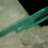 Beryl (variety emerald), Calcite, Pyrite
xl=10mm
(Autor: Fiebre Verde)