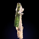 Elbaite and Muscovite
16mm x 48mm x 12mm
(Autor: Firmo Espinar)