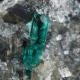 Beryl (variety emerald), Pyrite, Calcite, Dolomite
41x30x20mm, xl=9mm
(Autor: Fiebre Verde)