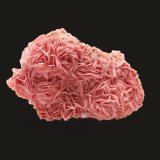 Rhodochrosite
10 X 6 cm
(Autor: Jean Suffert)