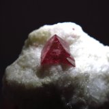 Spinel on Marble
1.5 x 1.5 cm (crystal)
(Autor: Jean Suffert)